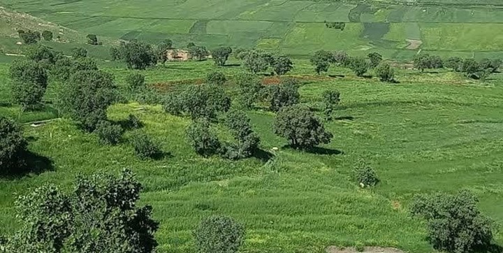 آمادهباش کامل واحدهای گشت یگان حفاظت منابع طبیعی در روز سیزده بدر آمادهباش کامل واحدهای گشت یگان حفاظت منابع طبیعی در روز سیزده بدر