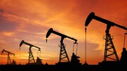 صادرات غیر نفتی ۱۱۸ میلیون دلاری ایران به ونزوئلا