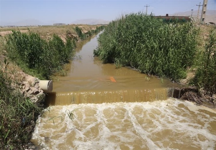 کشاورزی در ۴ روستای شیراز با فاضلاب/ فاجعه‌ای که کسی پاسخگویش نیست