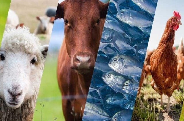 مدیرکل دامپزشکی استان اصفهان خبر داد: مدیرکل دامپزشکی استان اصفهان خبر داد: