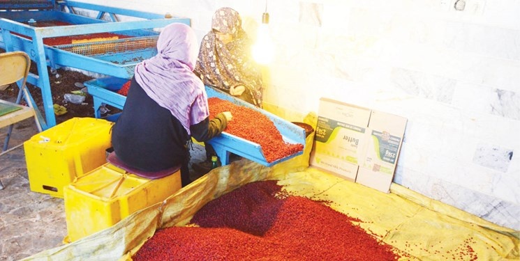 چند برش از زندگی کارگری/ از قرار دادهای نانوشته تا بیمه پرداخت نشده