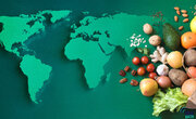 شاخص قیمت جهانی غذا برای اولین‌بار افزایش یافت