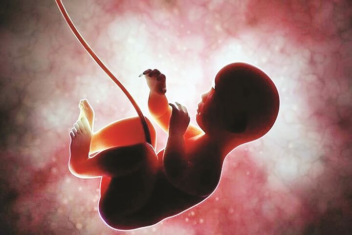 آمار تلخ از سقط جنین در ایران آمار تلخ از سقط جنین در ایران