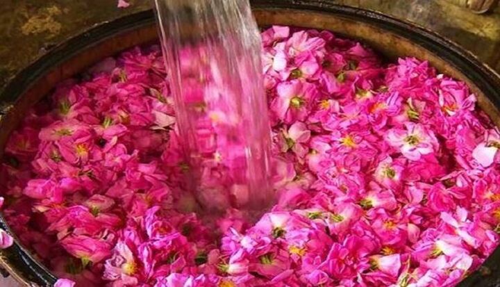 نخستین جشنواره گل محمدی و گلابگیری استان تهران در«واوان»برگزار شد نخستین جشنواره گل محمدی و گلابگیری استان تهران در«واوان»برگزار شد