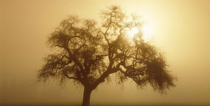 مشکلات درشت ریزگردها در خراسان جنوبی/ بیابان پشت دیوار شهرهای استان مشکلات درشت ریزگردها در خراسان جنوبی/ بیابان پشت دیوار شهرهای استان