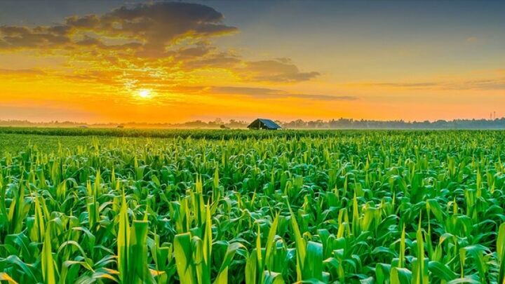 ۴هزار و۶۰۰ هکتار از اراضی دولتی به نام وزارت راه وشهرسازی سند خورد ۴هزار و۶۰۰ هکتار از اراضی دولتی به نام وزارت راه وشهرسازی سند خورد