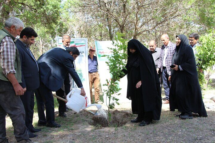 کاشت ۱۲۴ نهال به یاد شهدای سنگرساز بی‌سنگر آذربایجان شرقی