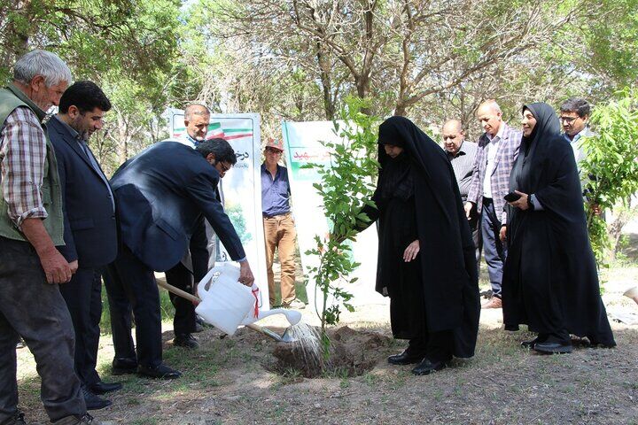کاشت ۱۲۴ نهال به یاد شهدای سنگرساز بیسنگر آذربایجان شرقی کاشت ۱۲۴ نهال به یاد شهدای سنگرساز بیسنگر آذربایجان شرقی