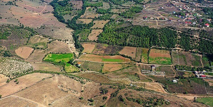 رفع تصرف ۴۰ میلیارد تومانی اراضی کشاورزی تنگستان