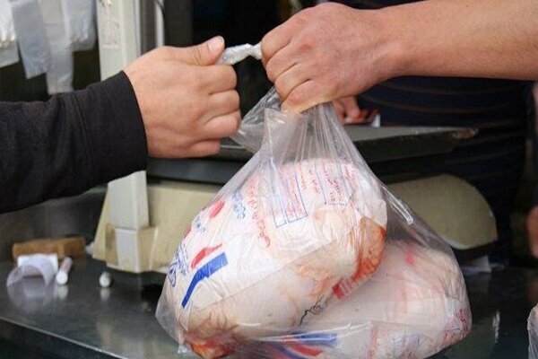 ۸۷۰ میلیون ریال جریمه نقدی برای واحد متخلف عرضه مرغ گرم در قزوین