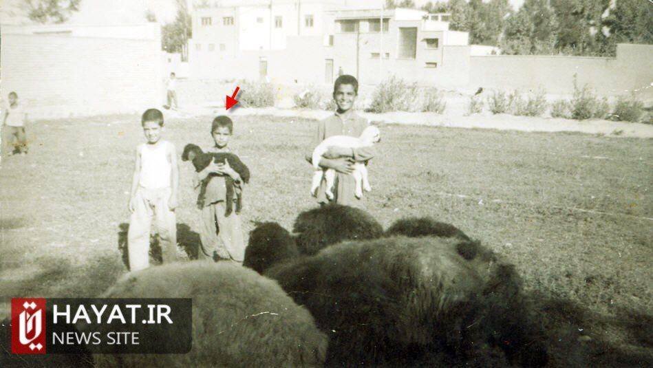 روایت تصویری زندگی شهید «محمود شهبازی دستجردی»