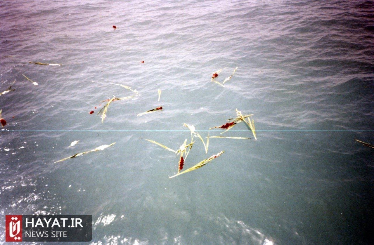 روایت تصویری زندگی شهید «حسین نیکملکی»