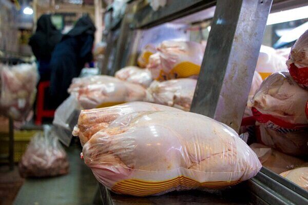 قیمت مرغ در بوشهر کاهش می‌یابد