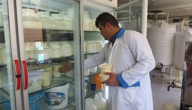 لبنیات فله ای چه بلایی سر ما می آورد
 لبنیات فله ای چه بلایی سر ما می آورد