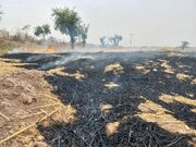 فرماندار: عامل بیشتر آتش سوزی های عرصه های طبیعی باشت عمدی است