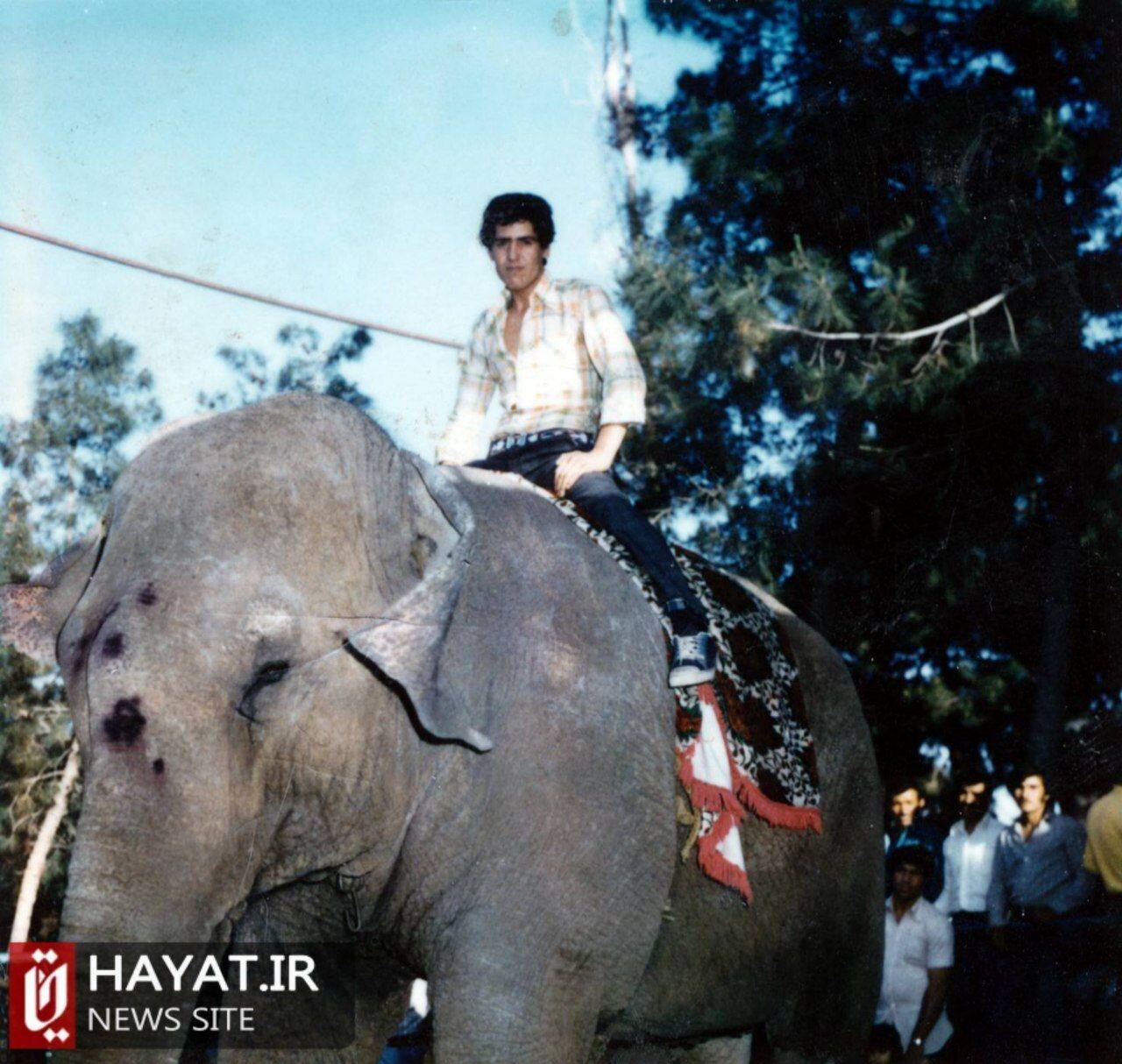 روایت تصویری زندگی شهید «ابراهیم علی معصومی»