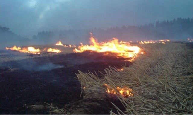 آتش‌سوزی ۲۴ میلیارد ریال به مزارع خرم‌آباد خسارت زد