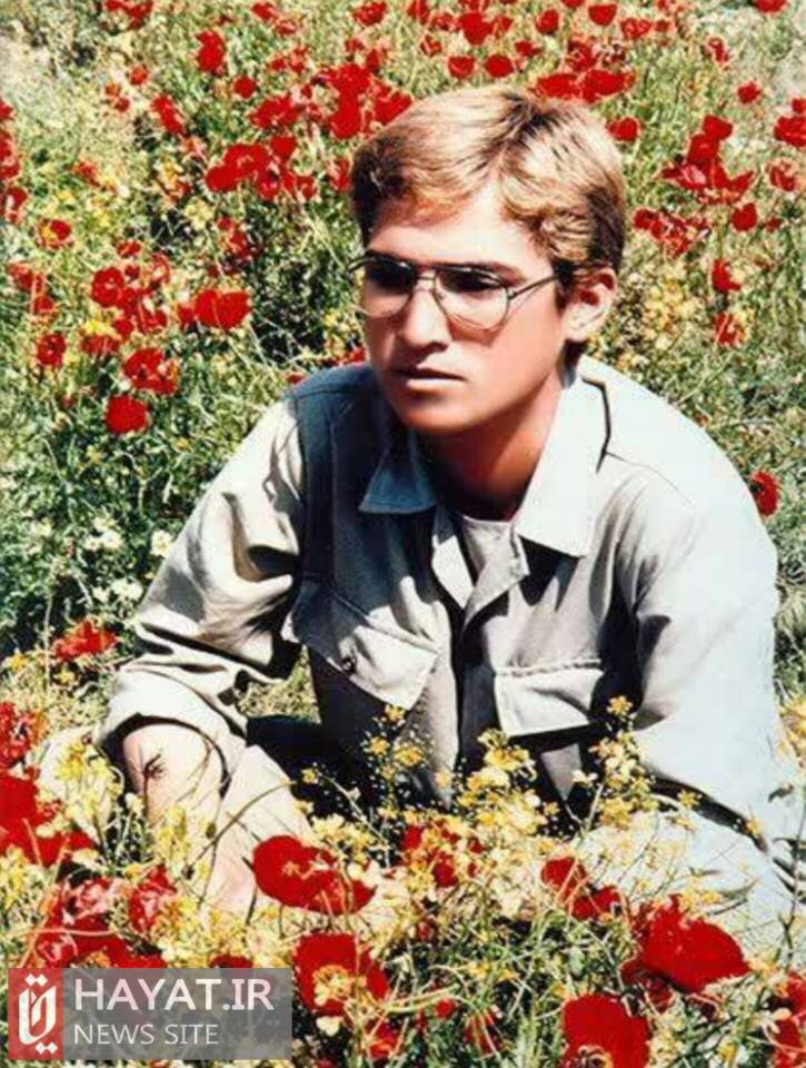 موی طلاییاش دل مادر را قرص کرد