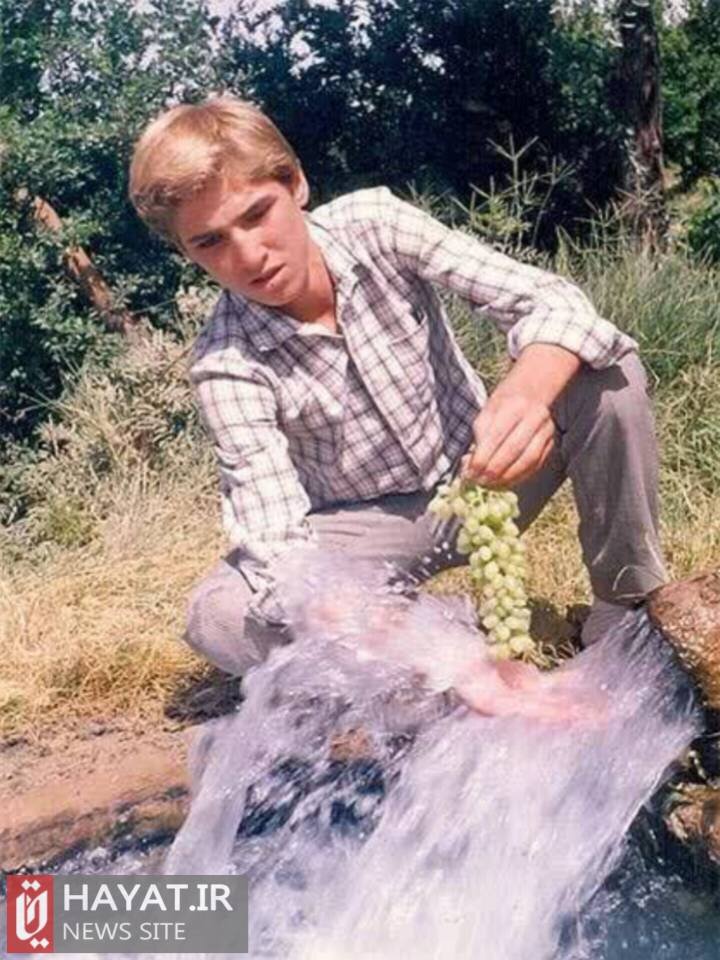 موی طلاییاش دل مادر را قرص کرد