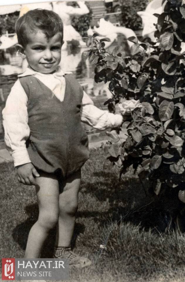 روایت تصویری زندگی شهید «مجید صادقی»