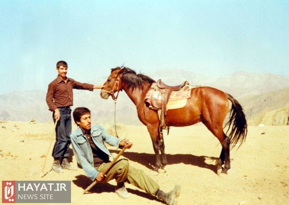 روایت تصویری زندگی شهید «مجید صادقی»