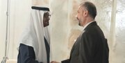 دیدار امیرعبداللهیان با رئیس دولت امارات عربی متحده