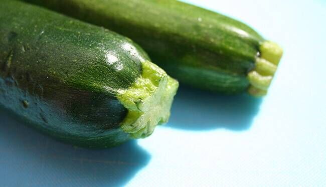 خواص کدو سبز برای سلامتی که شگفتزدهتان میکند خواص کدو سبز برای سلامتی که شگفتزدهتان میکند