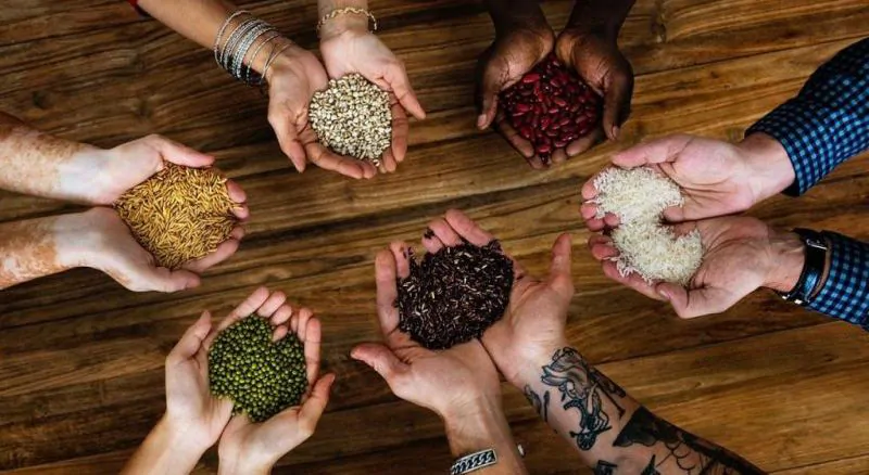 رشد 130 درصدی قیمت خرید تضمینی گندم در دولت سیزدهم/ نوسان قیمت کالاهای اساسی در جهان