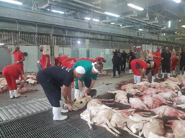 خبر ارسال گوشت قربانی حجاج به ایران تکذیب شد خبر ارسال گوشت قربانی حجاج به ایران تکذیب شد