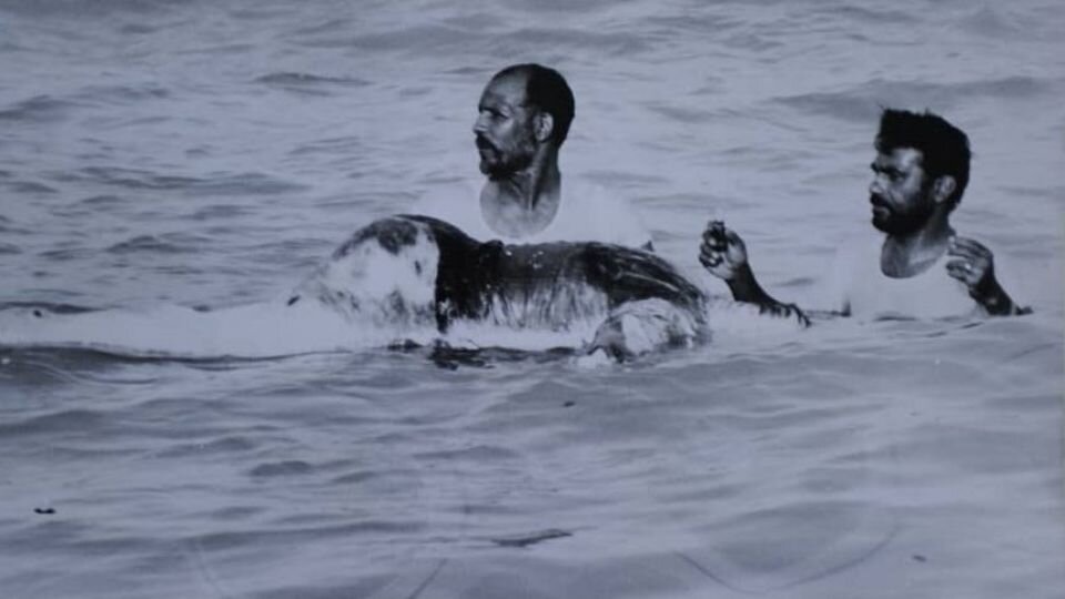 زخم باز جنایت آمریکایی پس از ۳۵ سال