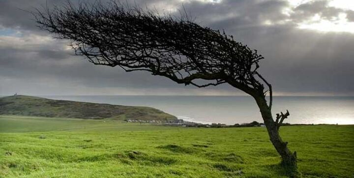 وزش باد در برخی از نقاط کشور وزش باد در برخی از نقاط کشور