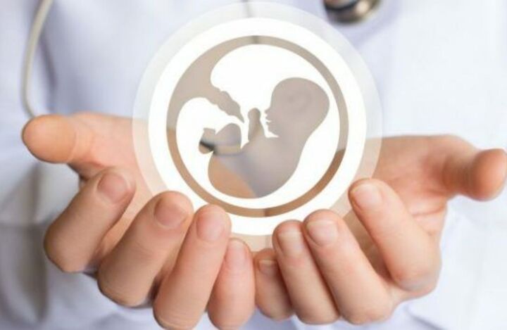 نرخ باروری در کشور پس از ۳۰ سال افزایش یافت نرخ باروری در کشور پس از ۳۰ سال افزایش یافت