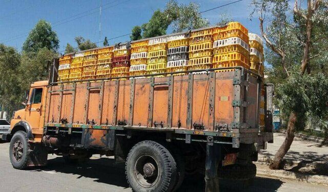 کشف ۳۰۰۰ کیلوگرم مرغ خارج از شبکه توزیع در ملایر کشف ۳۰۰۰ کیلوگرم مرغ خارج از شبکه توزیع در ملایر