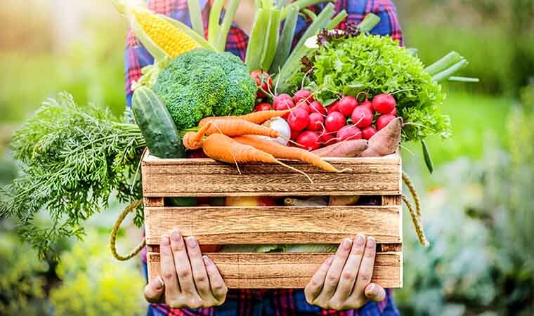 لاغر کننده سریع