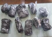 کشف ‌۲۱۰ کیلوگرم تریاک در عملیات مشترک پلیس بوشهر و هرمزگان