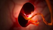 جنین از یک ژن خاص برای ربودن مواد مغذی از مادر استفاده می‌کند