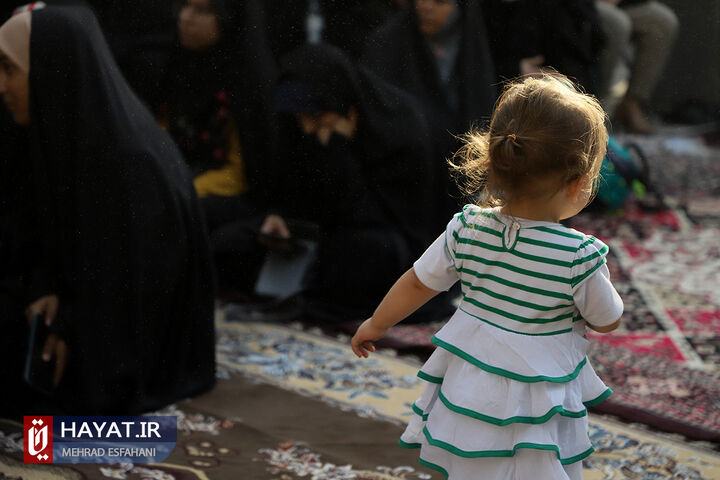 بیست و سومین بهار ولادت شهید مدافع امنیت محمدمهدی رضوان