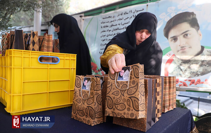 بیست و سومین بهار ولادت شهید مدافع امنیت محمدمهدی رضوان