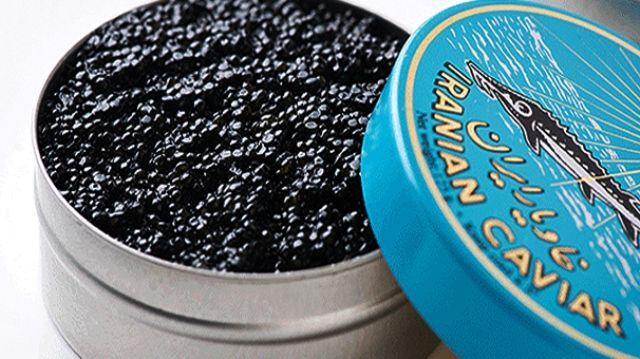 پرورش خاویار از شمال تا جنوب در حال توسعه است پرورش خاویار از شمال تا جنوب در حال توسعه است
