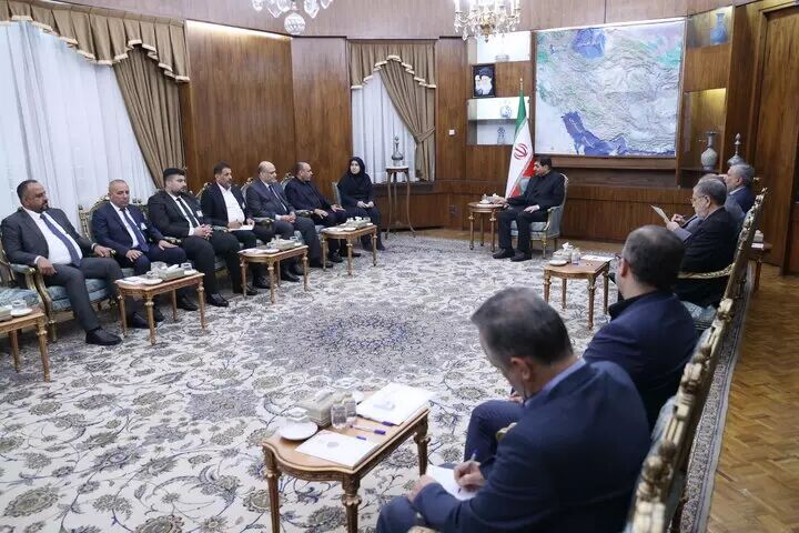 زمینه ایفای نقش بخش خصوصی در توسعه همکاریهای اقتصادی فراهم گردد زمینه ایفای نقش بخش خصوصی در توسعه همکاریهای اقتصادی فراهم گردد