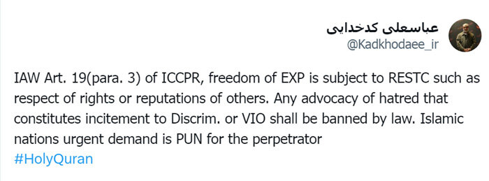 مطالبه دولتهای اسلامی مجازات عاملان است/ اهانت طبق میثاق بینالمللی ممنوع است