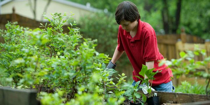 اقتصاد سبز کلید نجات محیط زیست اقتصاد سبز کلید نجات محیط زیست