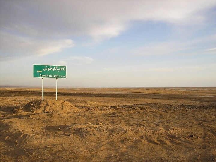 شیوع پدیده گرد و غبار و بیماری سالک با خشک شدن صددرصدی تالاب گاوخونی شیوع پدیده گرد و غبار و بیماری سالک با خشک شدن صددرصدی تالاب گاوخونی
