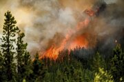 آتش‌سوزی‌ جنگلی در کشورهای شمالی دریای مدیترانه