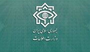 دستگیری اعضای ۱۵ باند سازمان‌یافته قاچاق کلان محصولات دخانی