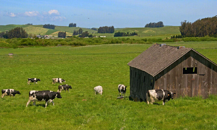 پیشبینی اجرای ۴۴۸ طرح پایلوت تجمیع و یکپارچگی اراضی کشاورزی پیشبینی اجرای ۴۴۸ طرح پایلوت تجمیع و یکپارچگی اراضی کشاورزی