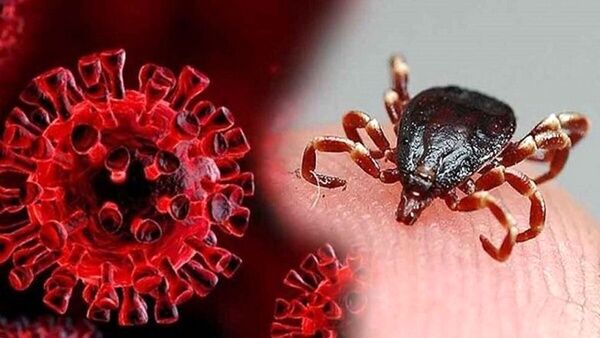 ضرورت رعایت نکات بهداشتی سازمان دامپزشکی در ایام تاسوعا و عاشورا ضرورت رعایت نکات بهداشتی سازمان دامپزشکی در ایام تاسوعا و عاشورا