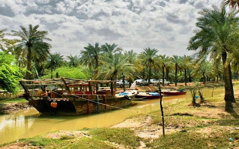 صاحبان نخلهای بی سر کجایند؟