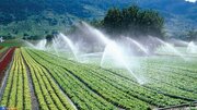 100 درصد آبهای زیرزمینی برداشت می‌شوند!/ هدررفت 65 درصدی آب در صنعت کشاورزی