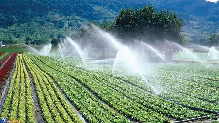 100 درصد آبهای زیرزمینی برداشت می‌شوند!/ هدررفت 65 درصدی آب در صنعت کشاورزی